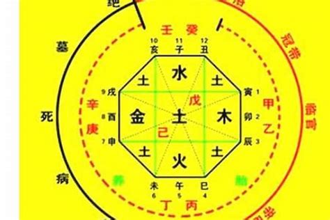 五行盤|生辰八字算命、五行喜用神查询（免费测算）